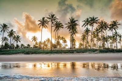 praia-do-forte-1.jpg