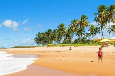 praia-do-forte-10.jpg