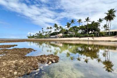 praia-do-forte-5.jpg