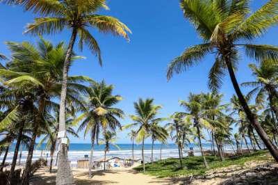 praia-do-forte-6.jpg